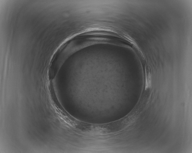 X0000079280387200611171031