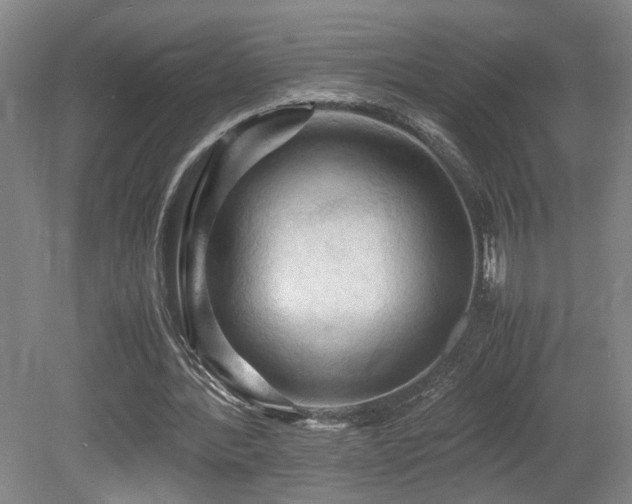 X0000079280388200611171031