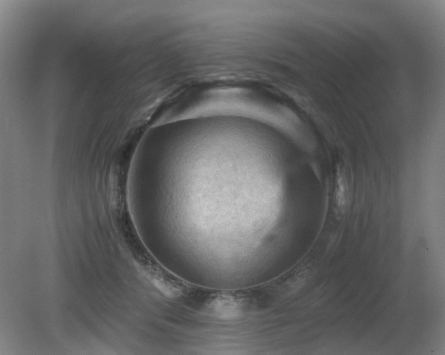 X0000079280416200611171030