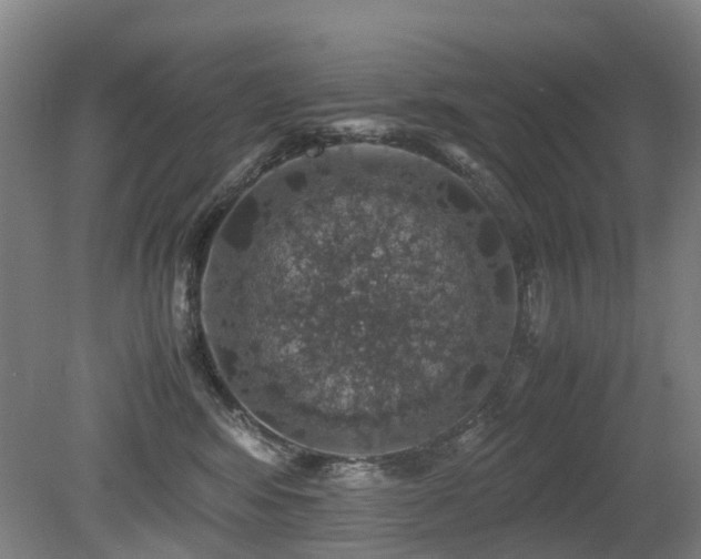 X0000079280424200611171030