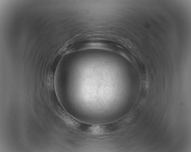 X0000079280425200611171030