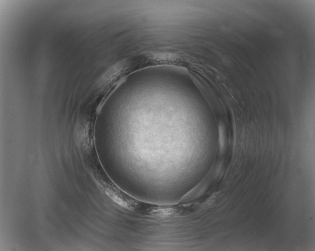 X0000079280428200611171030