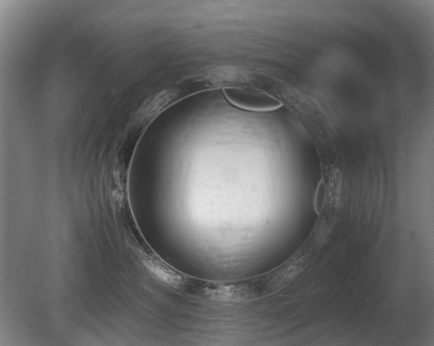 X0000079280430200611171030