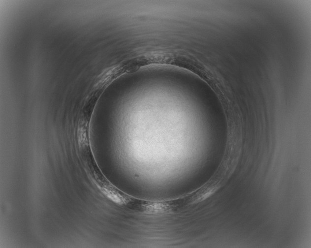 X0000079280432200611171030