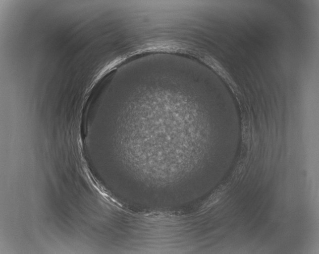 X0000079280434200611171029