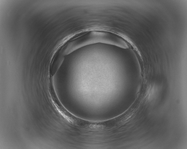 X0000079280437200611171029
