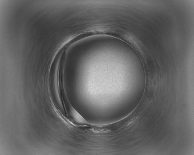 X0000079280439200611171029
