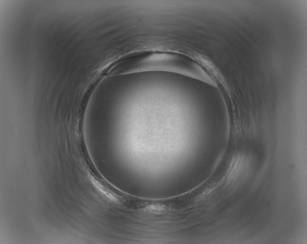 X0000079280441200611171029