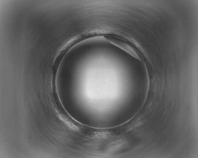 X0000079280446200611171029