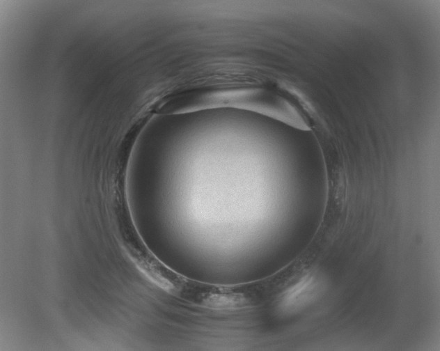 X0000079280455200611171030