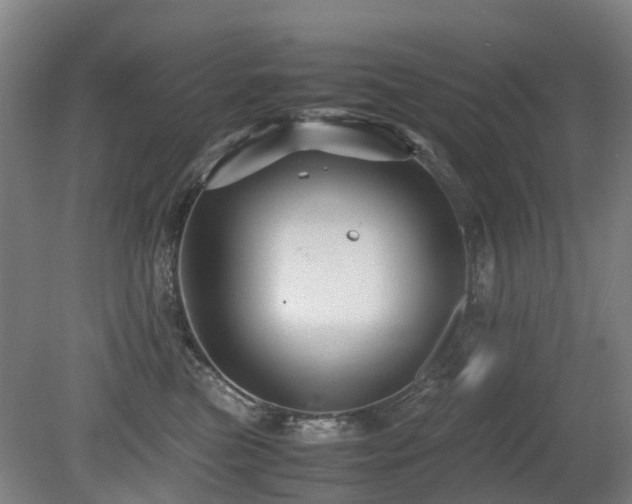 X0000079280473200611171030