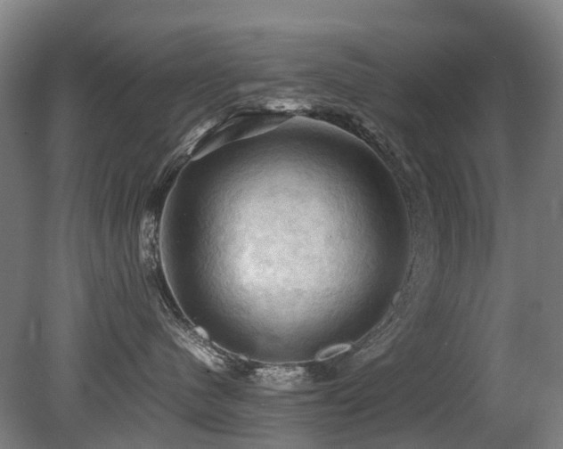 X0000079280480200611171030