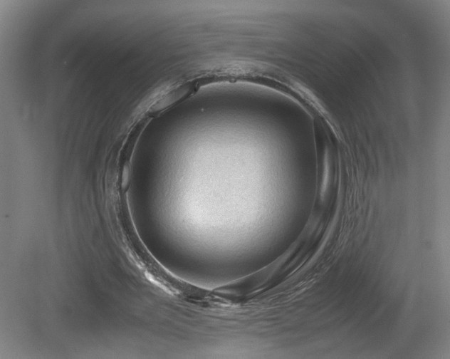 X0000079280485200611171029