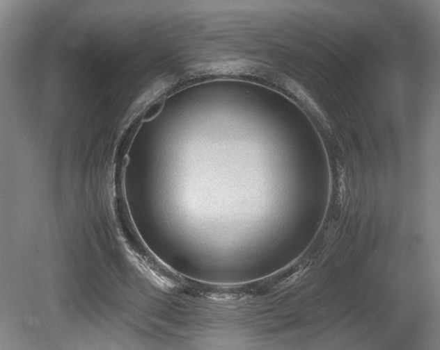 X0000079280486200611171029