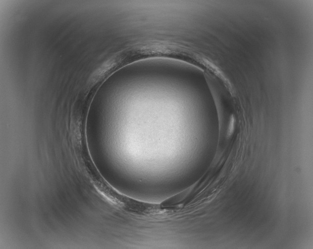 X0000079280489200611171029