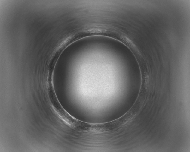 X0000079280490200611171029