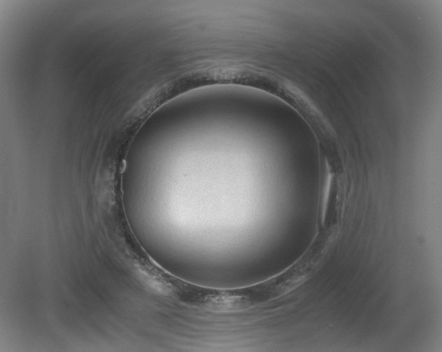 X0000079280497200611171029