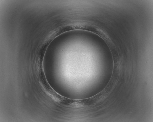 X0000079280498200611171029