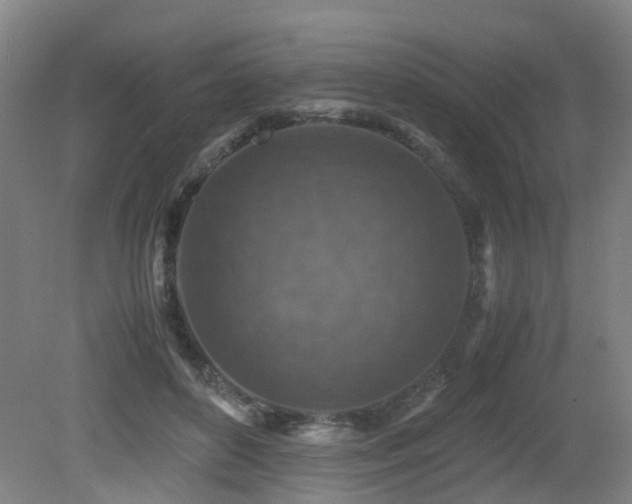 X0000079280504200611171029