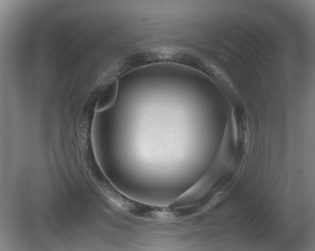 X0000079280509200611171029