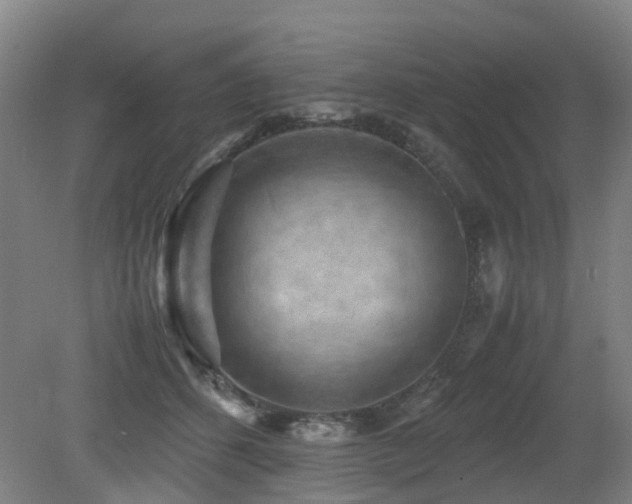 X0000079280512200611171029