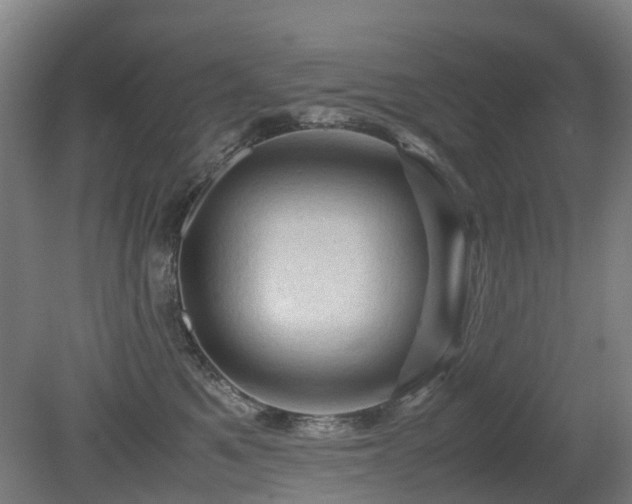 X0000079280521200611171028