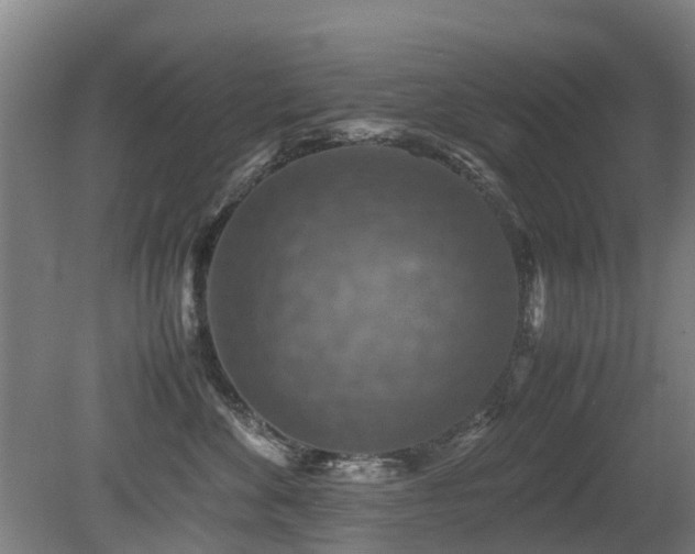 X0000079280524200611171028
