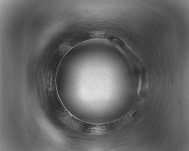 X0000079280525200611171028