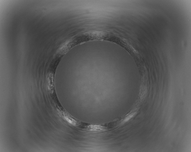 X0000079280528200611171028
