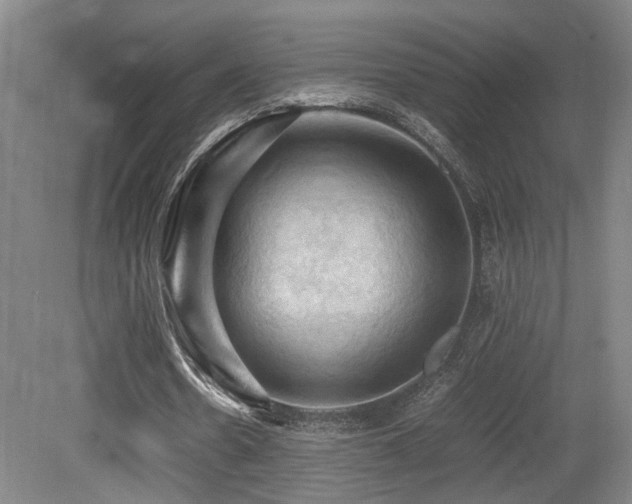 X0000079280530200611171028