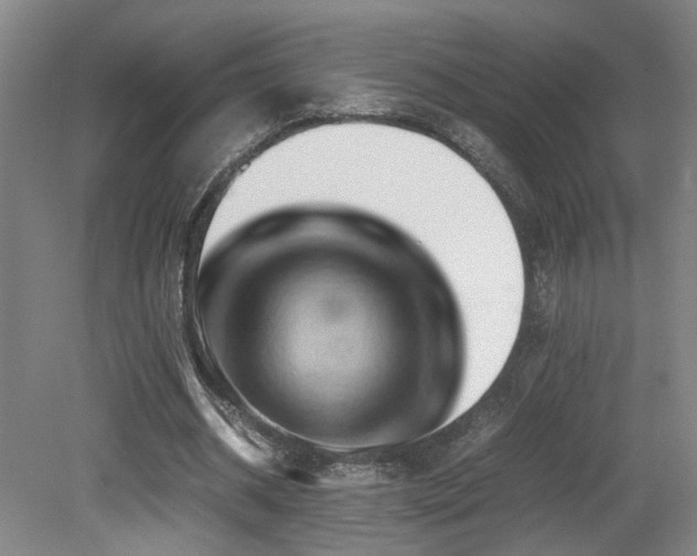X0000079280534200611171028
