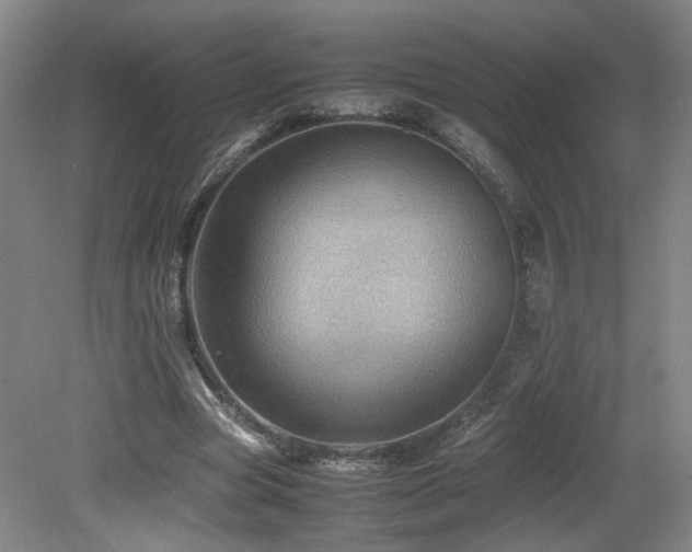 X0000079280537200611171028