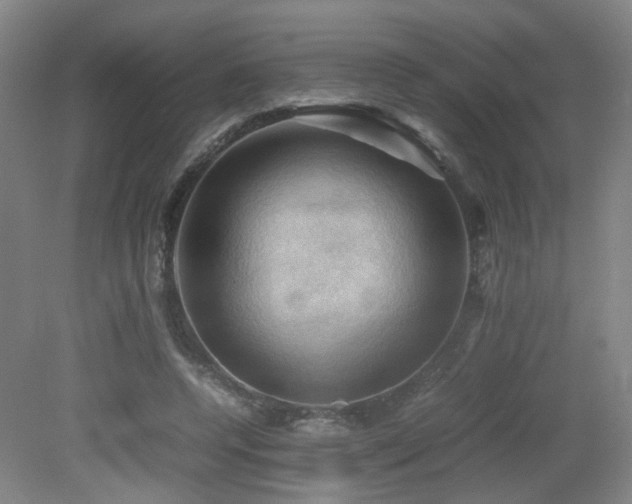 X0000079280544200611171028