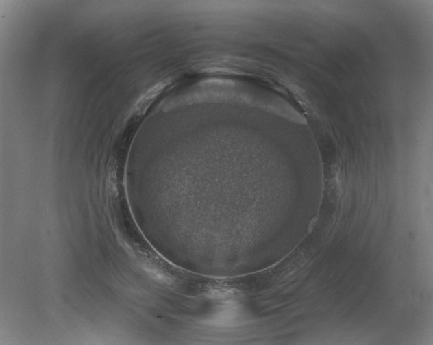 X0000079280547200611171028