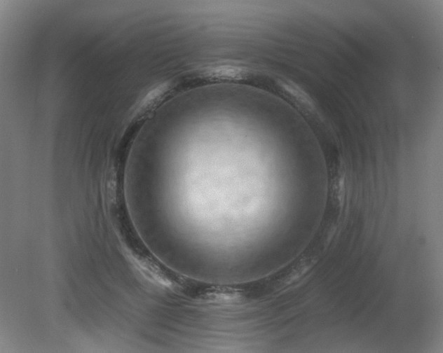 X0000079280552200611171028