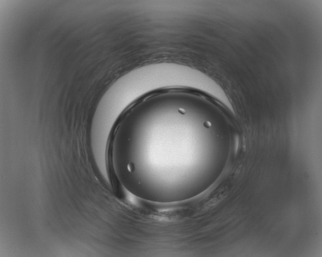 X0000079280561200611171028