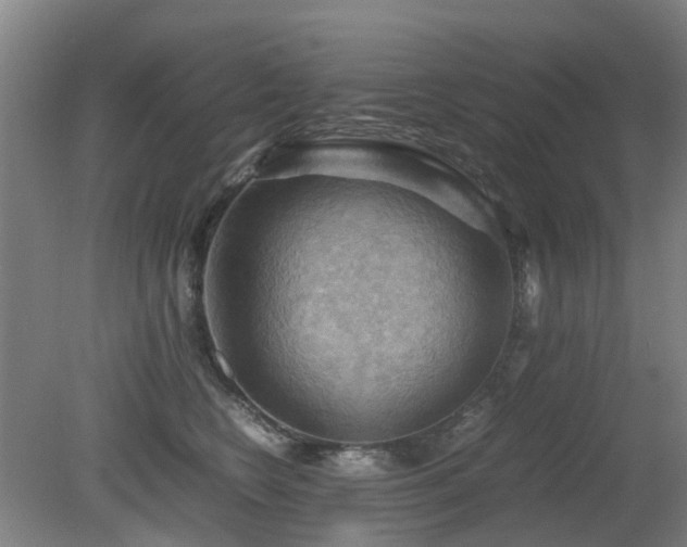 X0000079280566200611171028