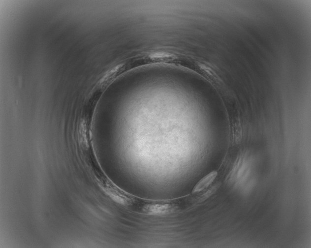 X0000079280575200611171028