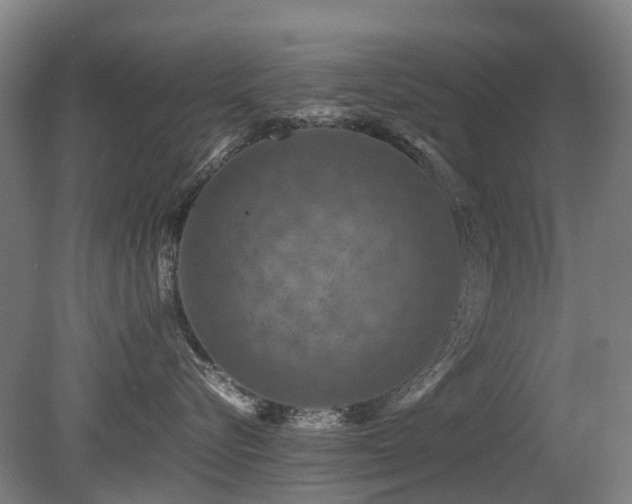 X0000079280576200611171028