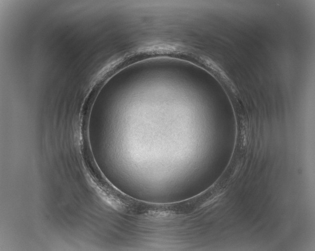 X0000079280582200611171027