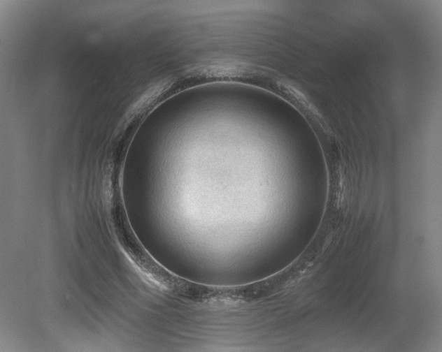 X0000079280586200611171027