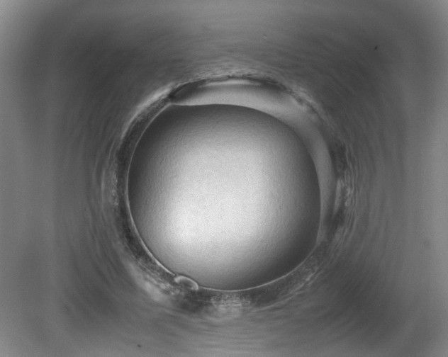 X0000079280587200611171027