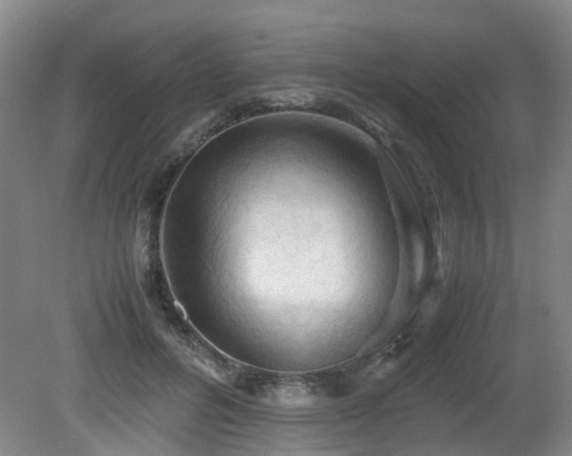 X0000079280600200611171027