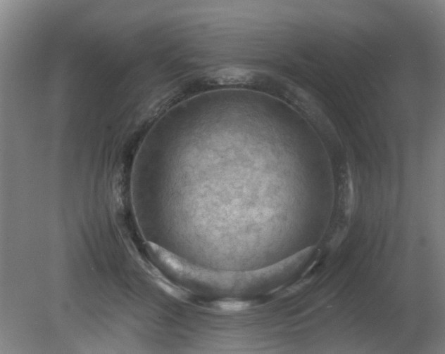X0000079280604200611171027