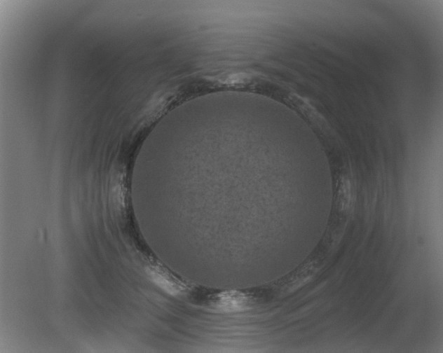X0000079280612200611171027