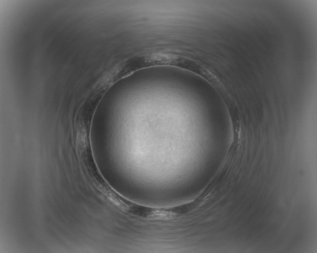 X0000079280617200611171027