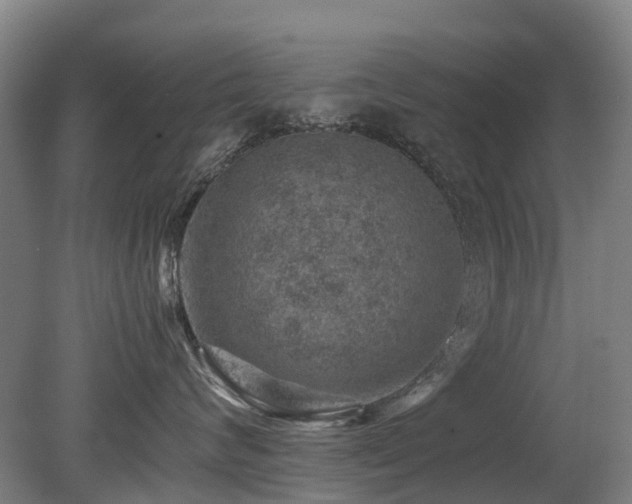 X0000079280624200611171027