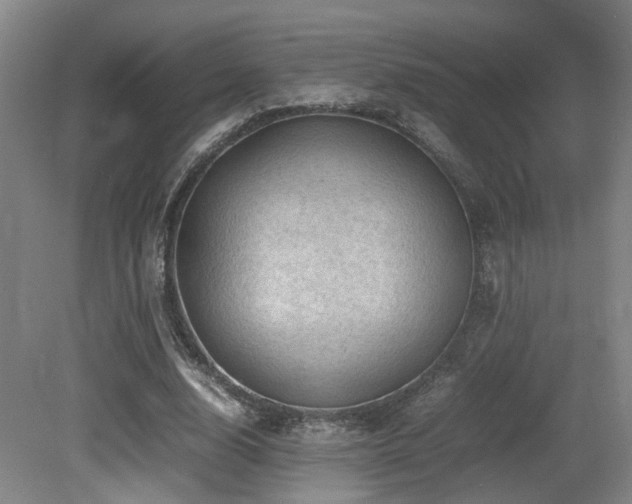 X0000079280632200611171026