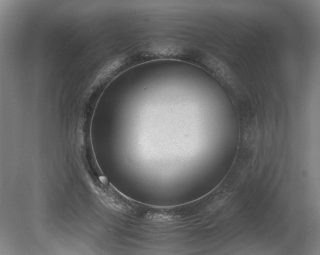 X0000079280635200611171026