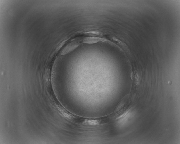 X0000079280665200611171027
